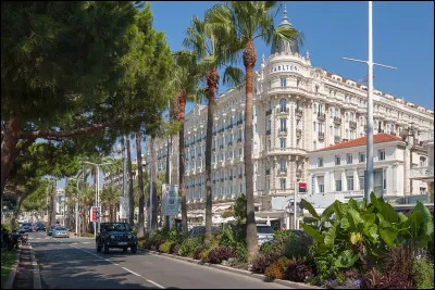 Comment se nomme le grand boulevard de la mer à Cannes, bordé de palmiers, de palaces et du Palais des festivals ?