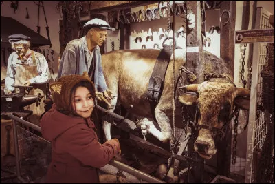 Quel est le nom de cette exposition ?