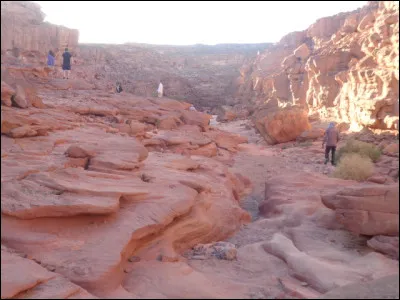 Terminons ce voyage en Égypte, dans la Péninsule du Sinaï qui fait officiellement partie du continent asiatique alors que le reste du pays se trouve en Afrique. Quel golfe sépare le Sinaï du reste de l'Égypte ?