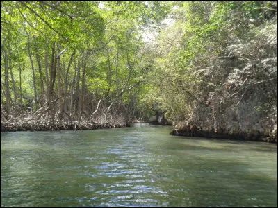 Quel est le seul pays possédant une frontière terrestre avec la République Dominicaine ?