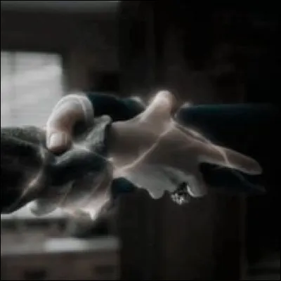 Bellatrix oblige Severus et Narcissa à faire quelque chose. De quoi s'agit-il ?