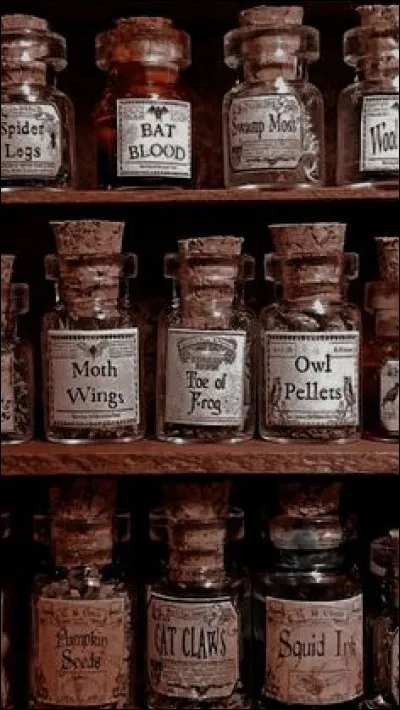 Qui est le nouveau professeur de potions ?