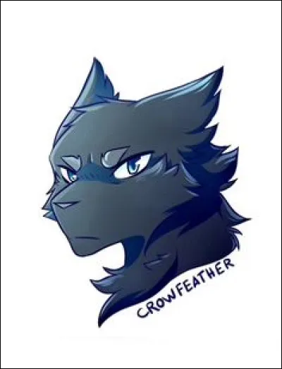 Quelle est la seule vérité sur Plume de Jais ?