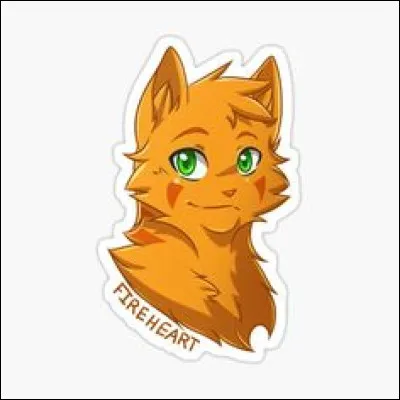 Quelle est la couleur du pelage de Museau Cendré ?