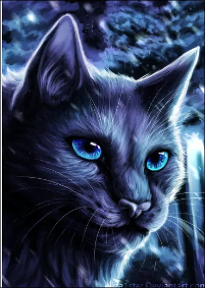 Quel chef préfères-tu ?