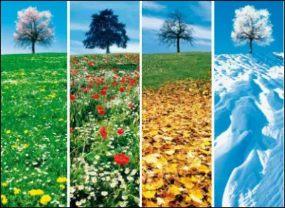 Quelle est ta saison préférée ?