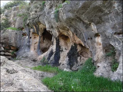 Autre découverte : les rites funéraires ! Où se trouvent les plus anciennes sépultures datant de plus de 115 000 ans ?