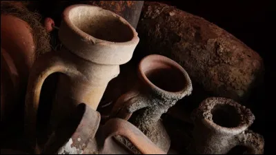 Quelle boisson a vu le jour durant le Paléolithique ?