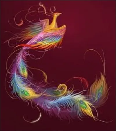 Quel est l'autre nom de l'oiseau-lyre ?