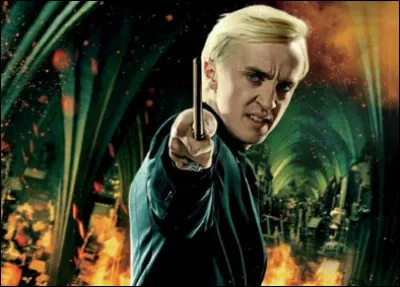 Les cours sont globalement collectifs.