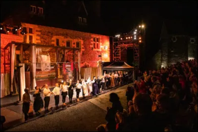 Parmi la pléiade d'acteurs connus qui se sont produits au Festival d'Anjou, quels sont ceux qui ne sont jamais venus ? (Sur les deux autres propositions, tous les acteurs ont joué au moins une fois au Festival d'Anjou, listes non exhaustives)
