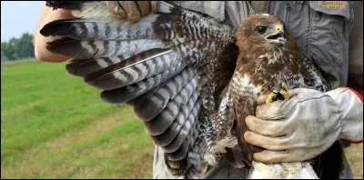 En quelle année le centre de soins du Parc Argonne a-t-il été ouvert ?