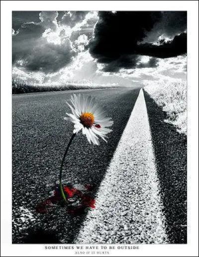 Qui chantait "Toujours plus loin en laissant ses amours, toujours plus loin, il s'en va chaque jour" ?