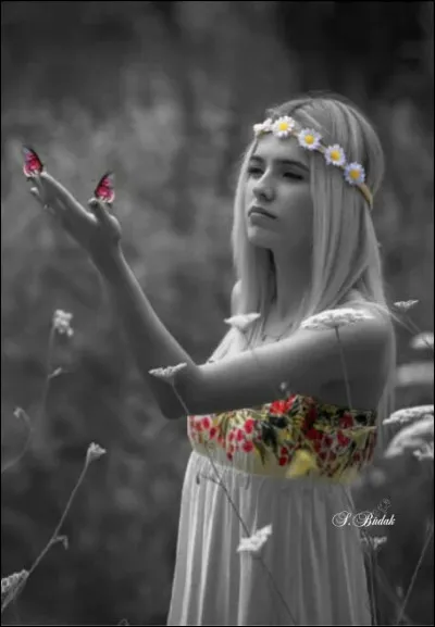 Dans les années 60, qui voulait être la plus belle pour aller danser ?