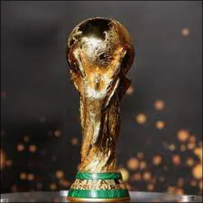 Dans quel pays s'est déroulée la Coupe du monde 2014 ?