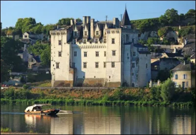 Château des bords de Loire, remarquable pour la vue qu'il offre sur la vallée majestueuse du haut de ses tours et qui a inspiré Alexandre Dumas dans un roman historique qui met en scène une dame qui porte son nom, c'est ?