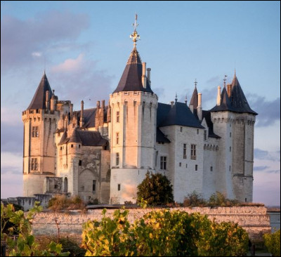 Château militaire de la fin du Moyen Age qui surplombe la Loire et la "Perle de l'Anjou", il a été représenté sur une miniature du livre des Riches heures du Duc de Berry, c'est ?