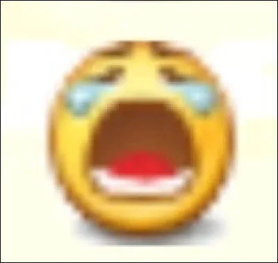 Oh, il s'est mis à pleurer ! Pouvez-vous m'indiquer comment on le fait ?