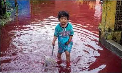 Dans quel pays des pluies rouges sont-elles tombées ?