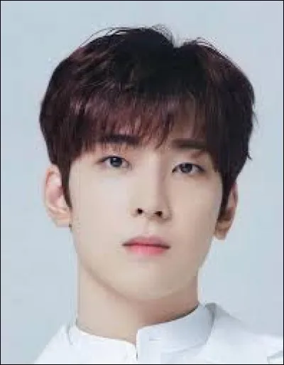 À quel groupe appartient cette idole ?