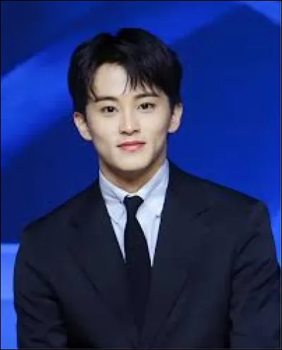 À quel groupe appartient cette idole ?