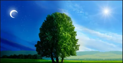 Préfères-tu le jour ou la nuit ?