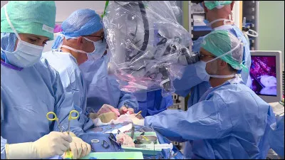 Sciences : Quelle greffe a été réalisée les 2 et 3 septembre 2023 à Lyon et se trouve être la première du genre a être réalisée en France ?