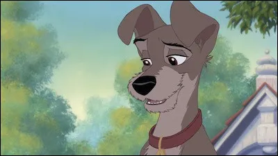 À voir la bouille de ce personnage, retrouvez le titre du livre de Georges Simenon :