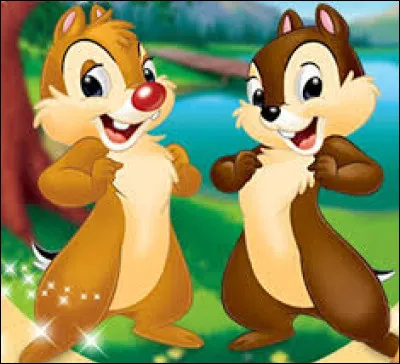 Que sont Tic et Tac ?