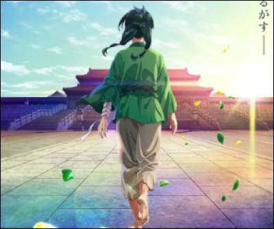 Qui est l'auteur des Carnets de l'apothicaire ?