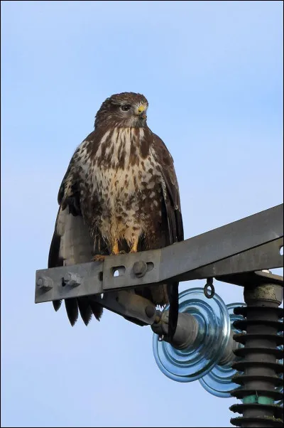 Quelle est cette buse ?