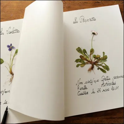 Quel est le nom de ce loisir créatif ?