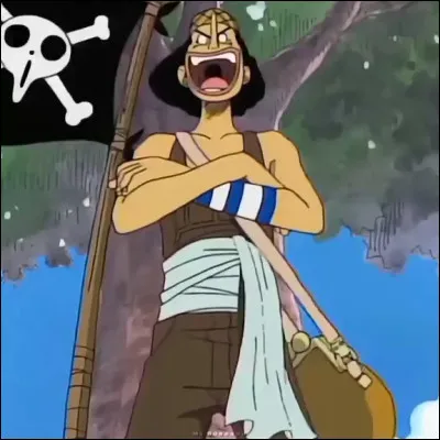 Quel est le rêve d'Usopp ?