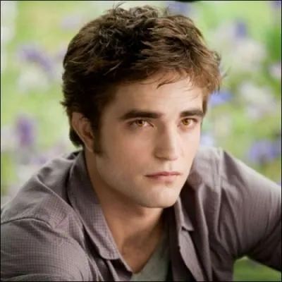Le trs trs trs populaire et paparazz Robert Pattinson, qui joue Edward, on l'a vu aussi dans ou en... ?