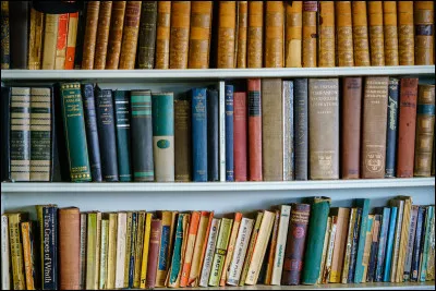 Sa bande dessinée compte, en 2025, 57 tomes.