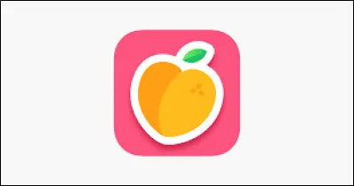 Quelle est cette application ?