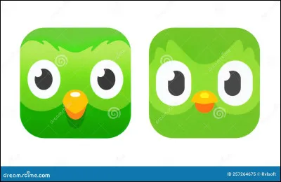 Quelle est cette application ?