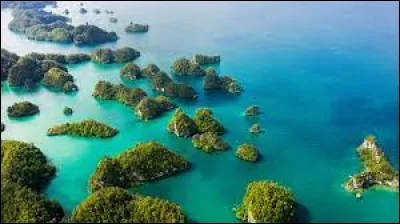 Quel est le plus grand pays insulaire du monde ?