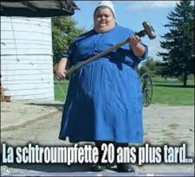 De ces trois bandes dessinées, laquelle n'a pas été créée par Peyo ?