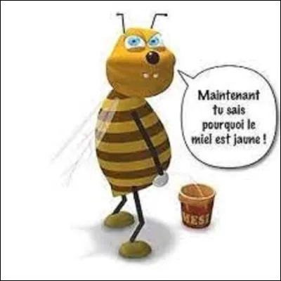 Comment dit-on miel en italien ?