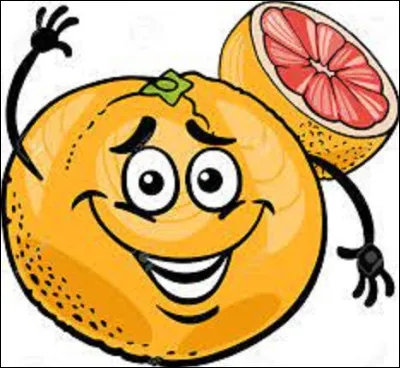 Quel pays est le premier producteur de pamplemousses au monde ?