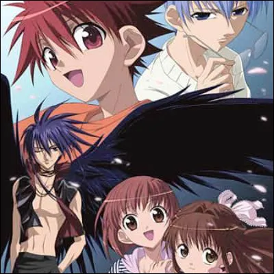 Dans "D.N.Angel", quel est le nom du cambrioleur séculaire qui utilise Daisuke Niwa comme hôte pour commettre ses vols ?