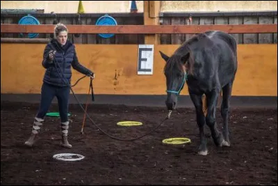 Avant de monter, pourquoi est-il recommandé d'échauffer le cheval ?