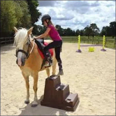 Après avoir échauffé mon cheval, mis ma bombe, à quoi dois-je faire attention ?