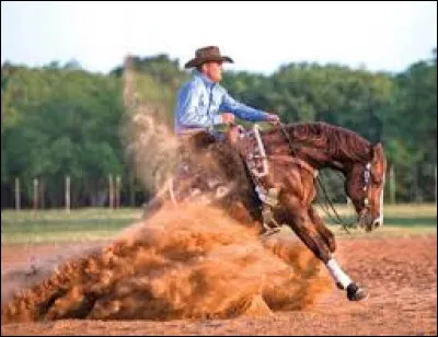 Laquelle, parmi les deux disciplines, est la plus respectueuse du cheval ?