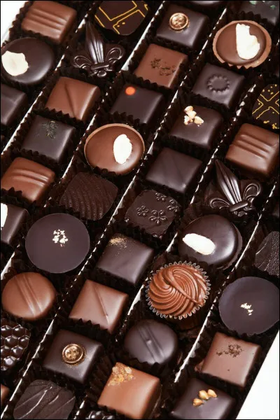 Que représente cette image ?