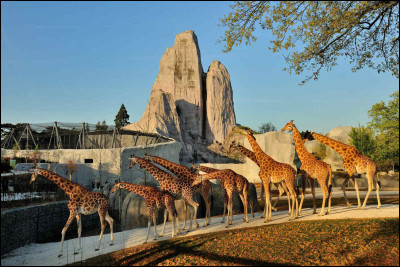 En quelle année le parc zoologique de Paris a-t-il ouvert ses portes ?