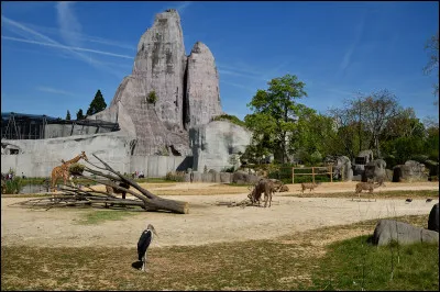 Cette zone expose des animaux...