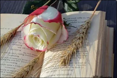 Aimez-vous le fait que le personnage principal ait des pouvoirs ?