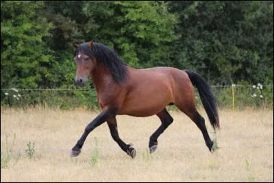 Tu termines ta pose du midi et on t'annonce que tu montes Hexagonal ; quelle est ta réaction ?